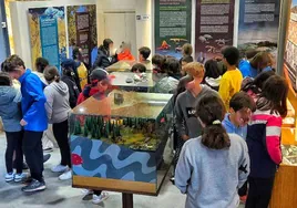 Escolares de la provincia durante una visita guiada por el Museo de la Falla.