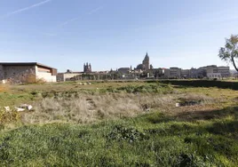 Terrenos donde se encuentra cubiertas cabañas prehistóricas descubiertas en 2018.