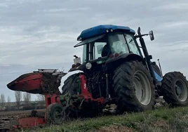 Un agricultor realiza labores en una parcela de Salamanca.