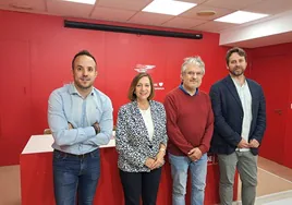 Carlos Fernández Chanca, Carmen Ávila, Fernando Rubio y Antonio Cámara, diputados provinciales del PSOE