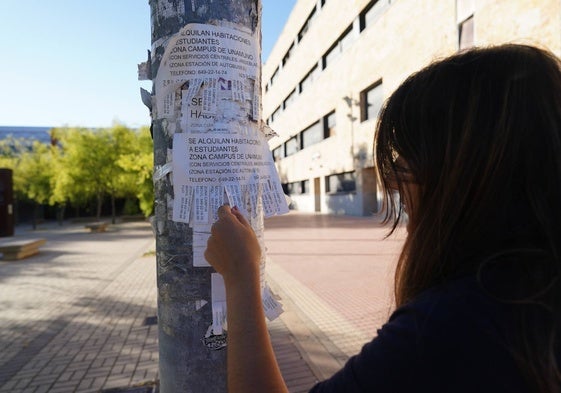 Una joven mira anuncios de alquiler en una farola.