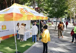 Carpa instalada en el Parque Picasso, que ha estrenado el recorrido de la promoción.