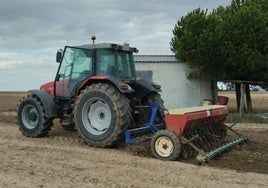 Siembra de vezas en El Campo de Peñaranda.