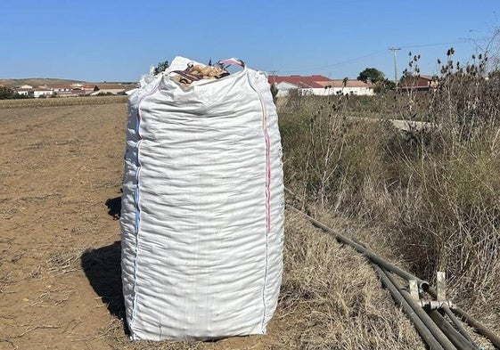 Patatas, en una parcela de Salamanca a la espera de su recogida.