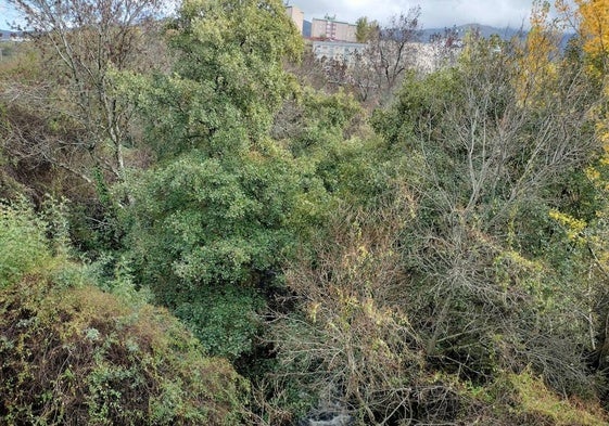 Cauce del Riofrío en Béjar a la altura del puente de la carretera de Ciudad Rodrigo.