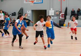 Un choque de baloncesto de los Juegos Escolares en el anexo a Würzburg.