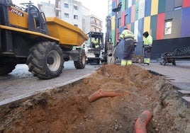 Trabajos de extracción de los tocones.