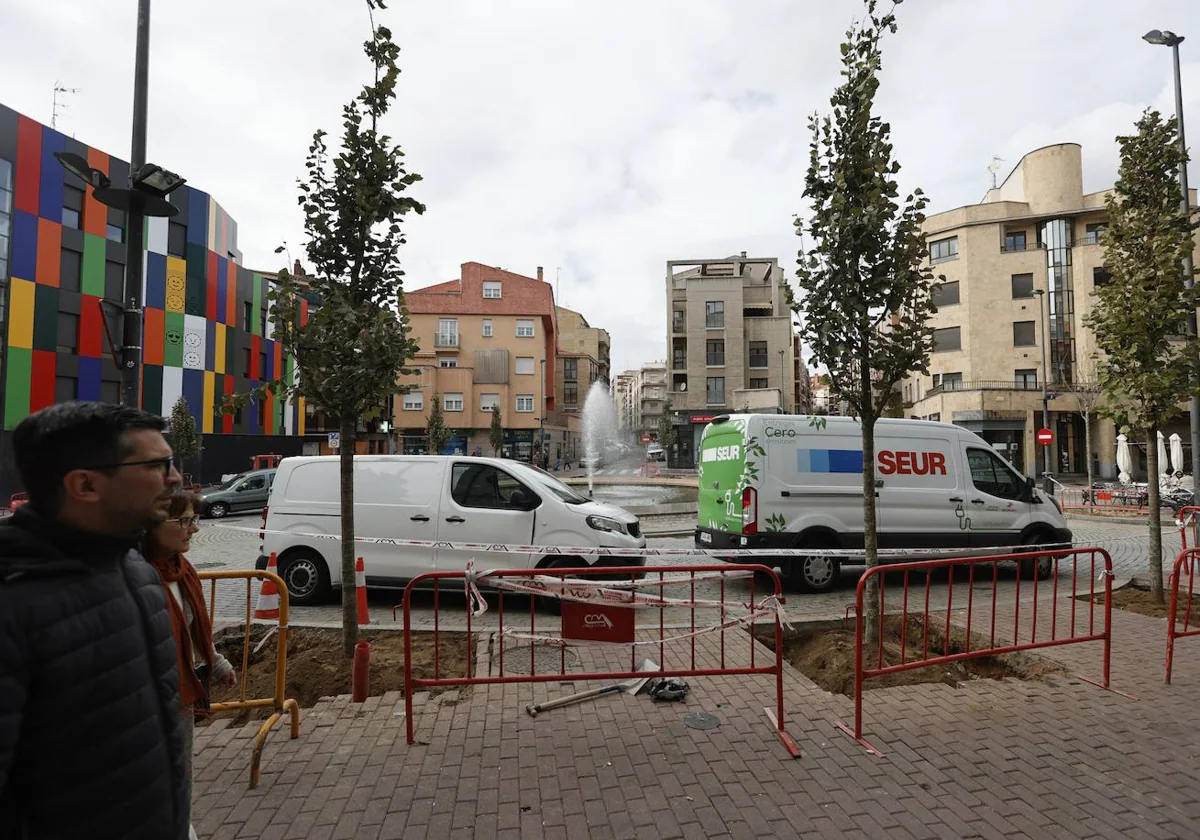 Los nuevos ejemplares, plantados en la plaza del Oeste.