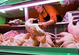 ¿Acostumbra a comer tostón en las fechas navideñas?