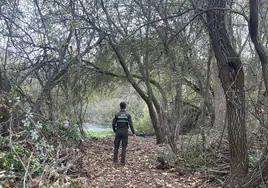 Uno de los accesos a las zonas de pesca en el río Tormes en Salamanca.