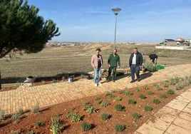 Nueva zona de recreo en Carbajosa de la Sagrada.