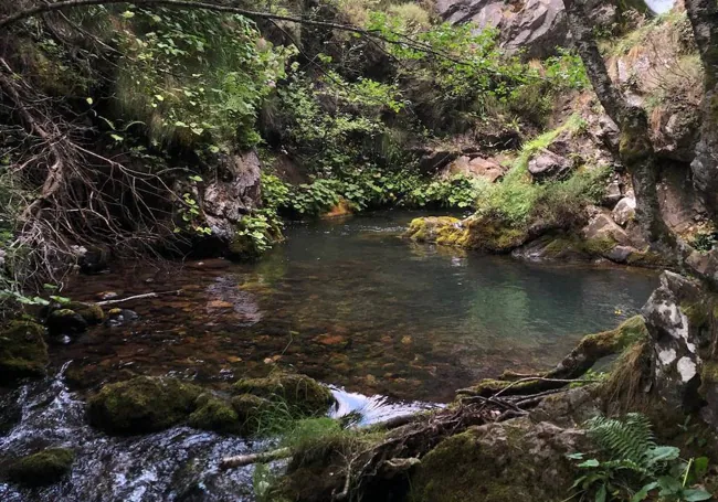 Detalle de una de las pozas que componen este valle de agua cristalina |