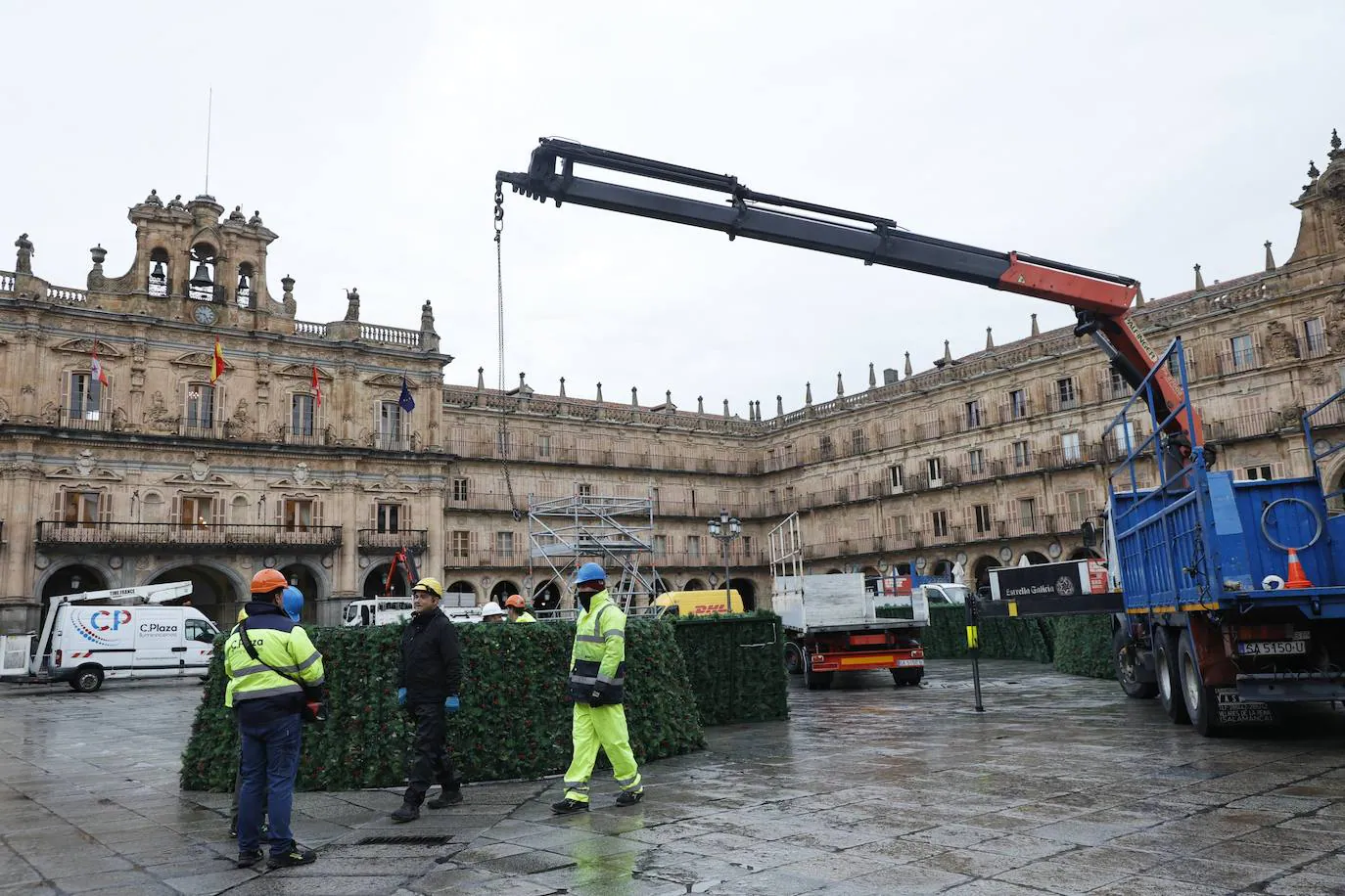 El árbol navideño va tomando forma en la Plaza Mayor