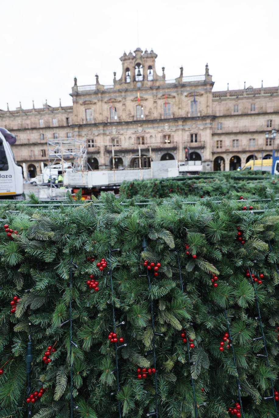 El árbol navideño va tomando forma en la Plaza Mayor