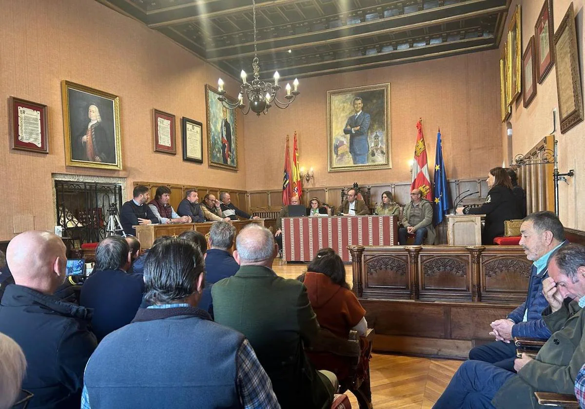 Primeras cotizaciones de la Lonja Agropecuaria de Salamanca.