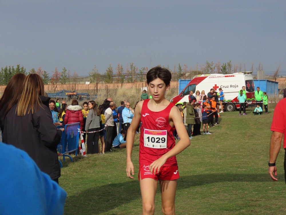 Más de medio millar de participantes en la V Cross Popular ‘Ciudad de Peñaranda’