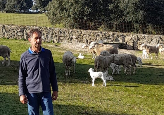 José Antonio Sánchez, con algunas de sus ovejas.