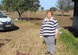 Una ganadera salmantina, junto a sus ovejas muertas en un ataque de lobo.