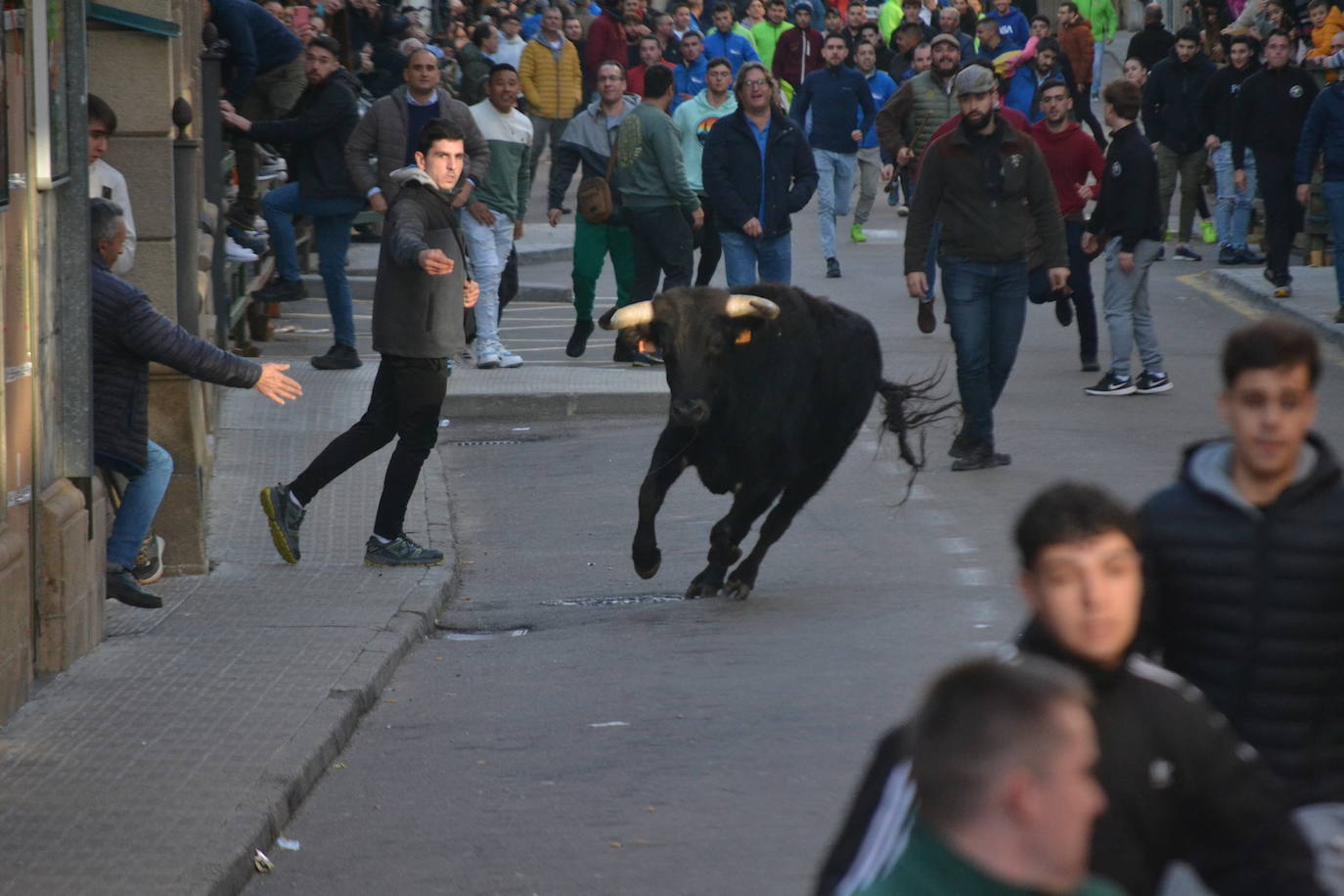 Un emocionante Toro de San Nicolás abarrota Vitigudino