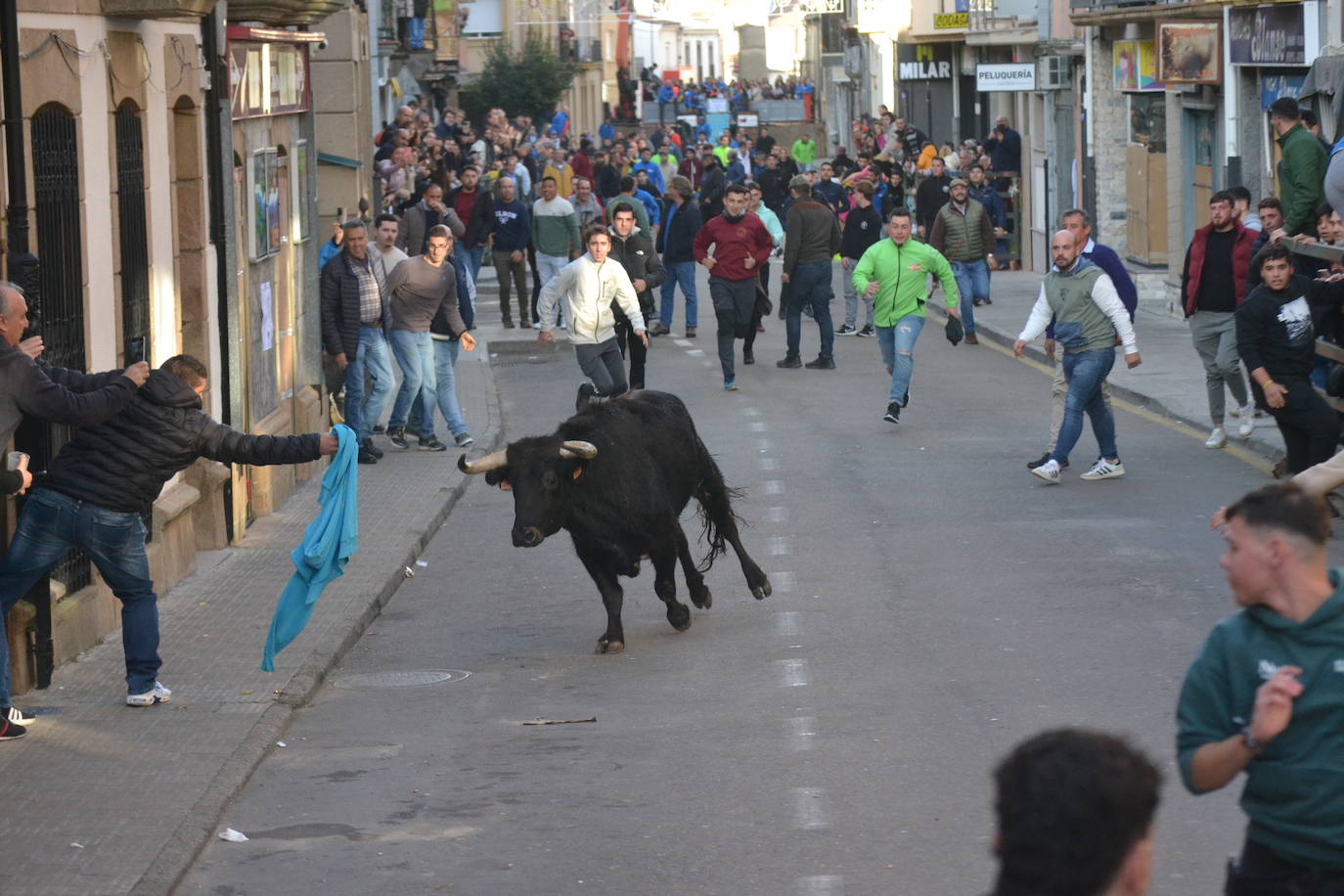 Un emocionante Toro de San Nicolás abarrota Vitigudino