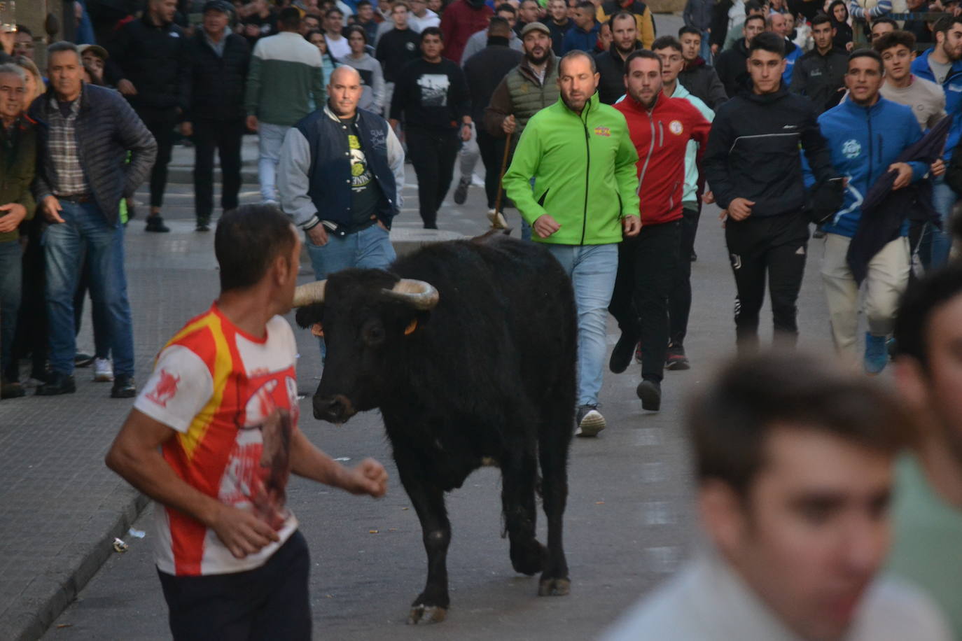 Un emocionante Toro de San Nicolás abarrota Vitigudino