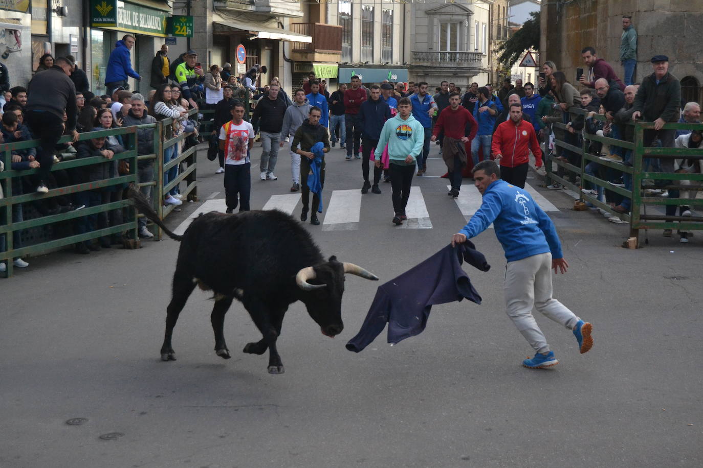 Un emocionante Toro de San Nicolás abarrota Vitigudino