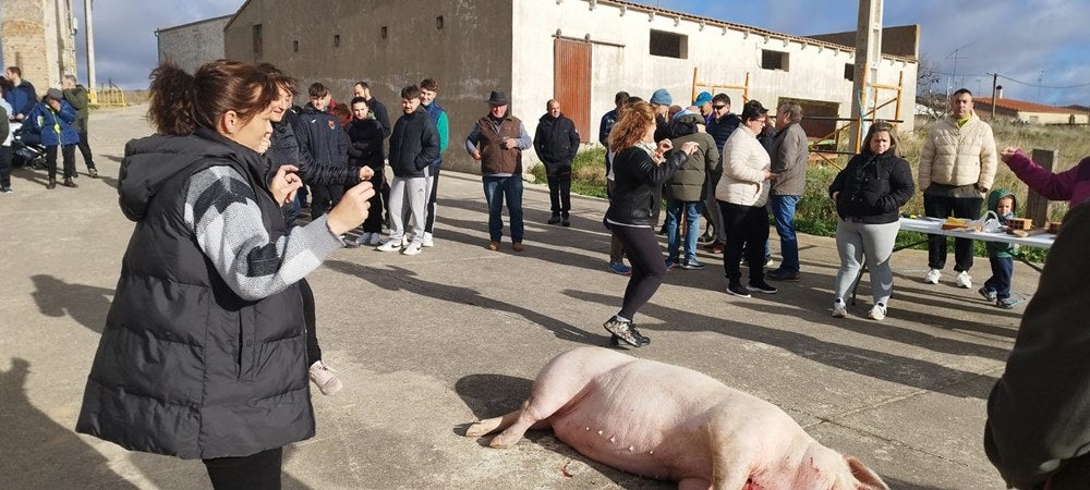 Reconocimiento a los mayores de Coca de Alba en la fiesta de la matanza tradicional