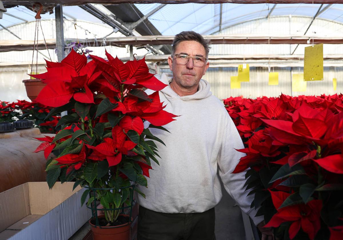 El florista José Turrión junto a las flores de Pascua de su vivero.