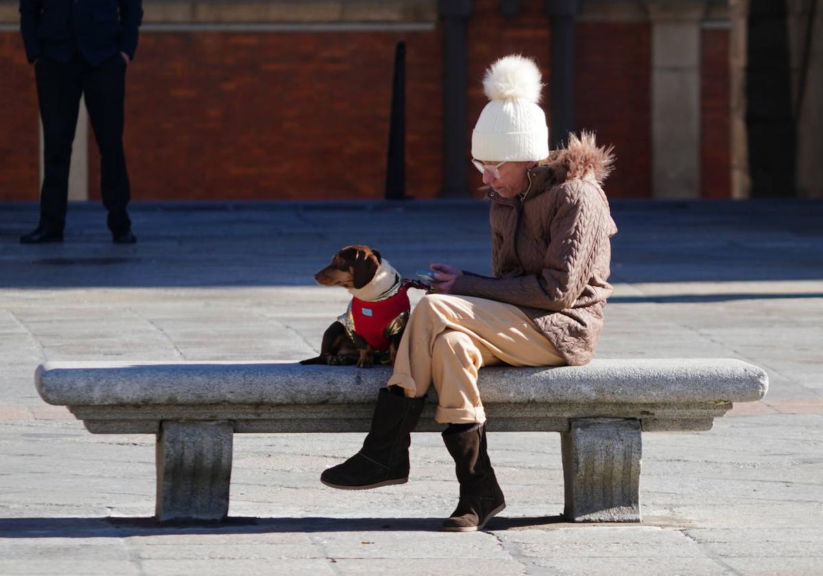 Mujer bien abrigada sentada en un banco junto a su perro.