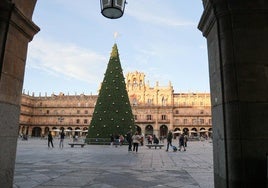 Abeto de Navidad de la Plaza Mayor.