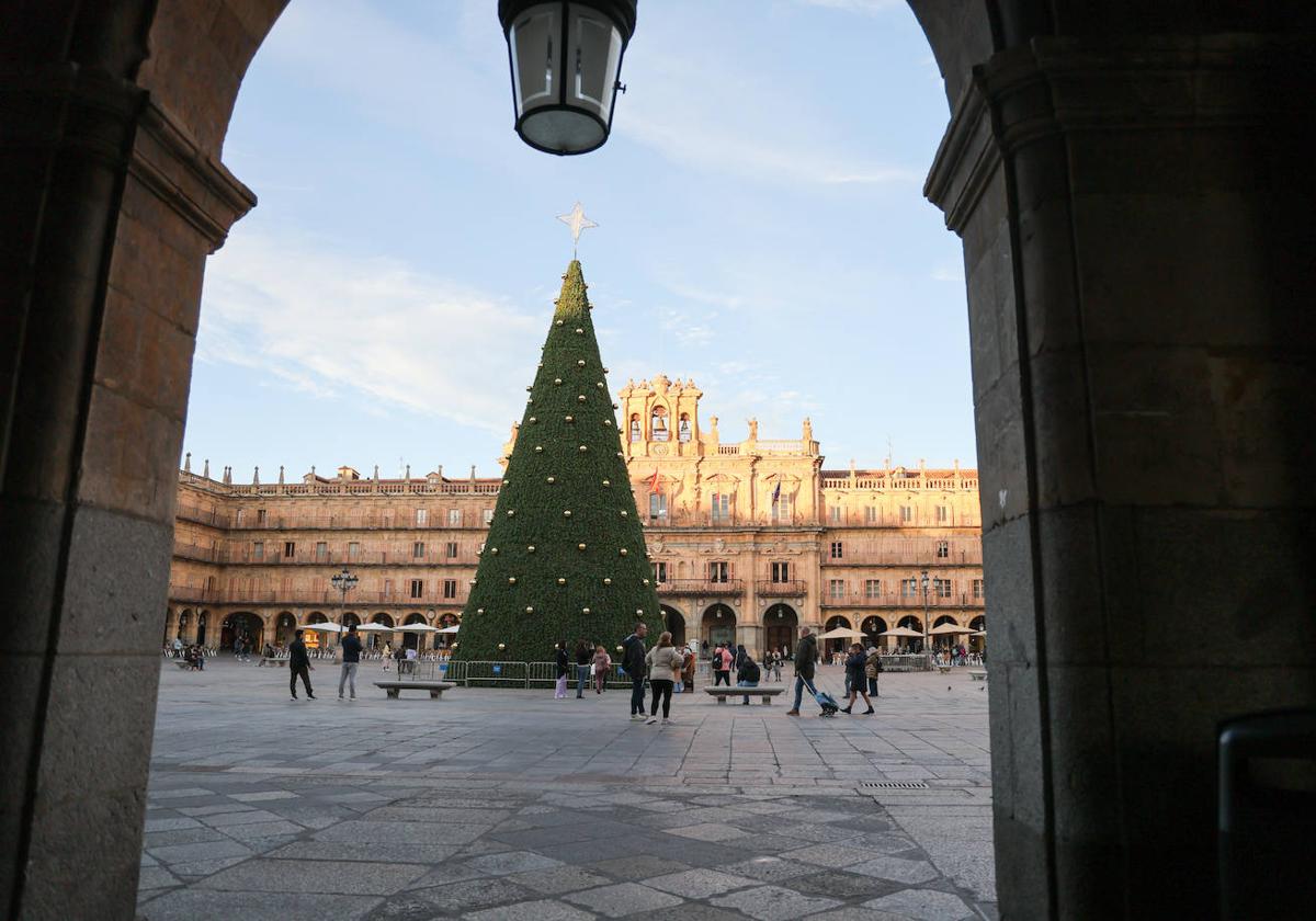 El árbol de Navidad de la Plaza Mayor.