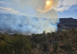 Imagen del incendio originado en el pantano de Navamuño.