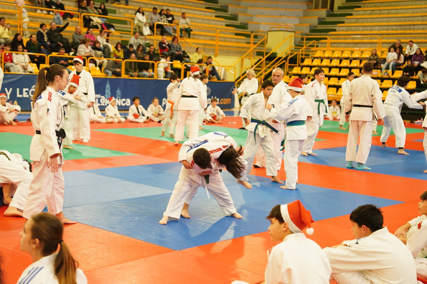 600 jóvenes judokas en el Festival de Navidad