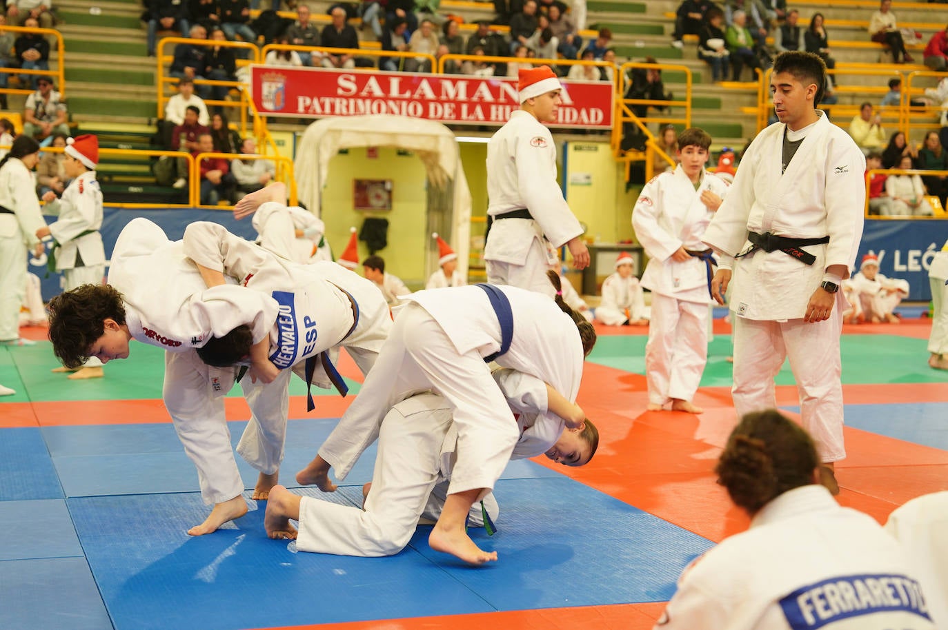 600 jóvenes judokas en el Festival de Navidad