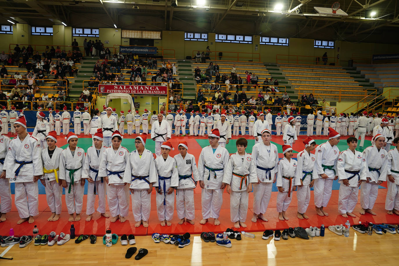 600 jóvenes judokas en el Festival de Navidad