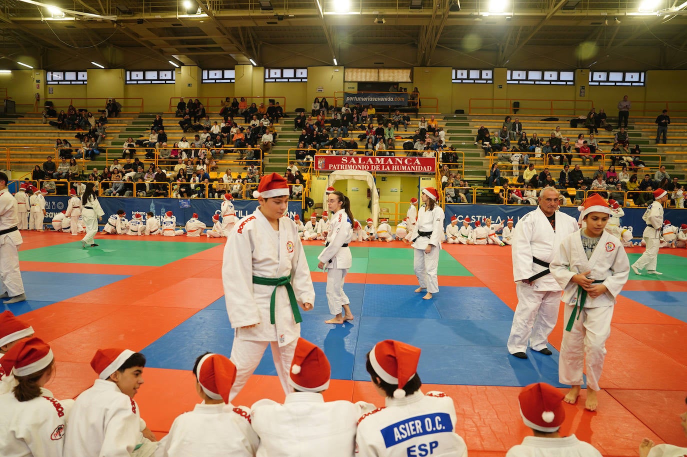 600 jóvenes judokas en el Festival de Navidad