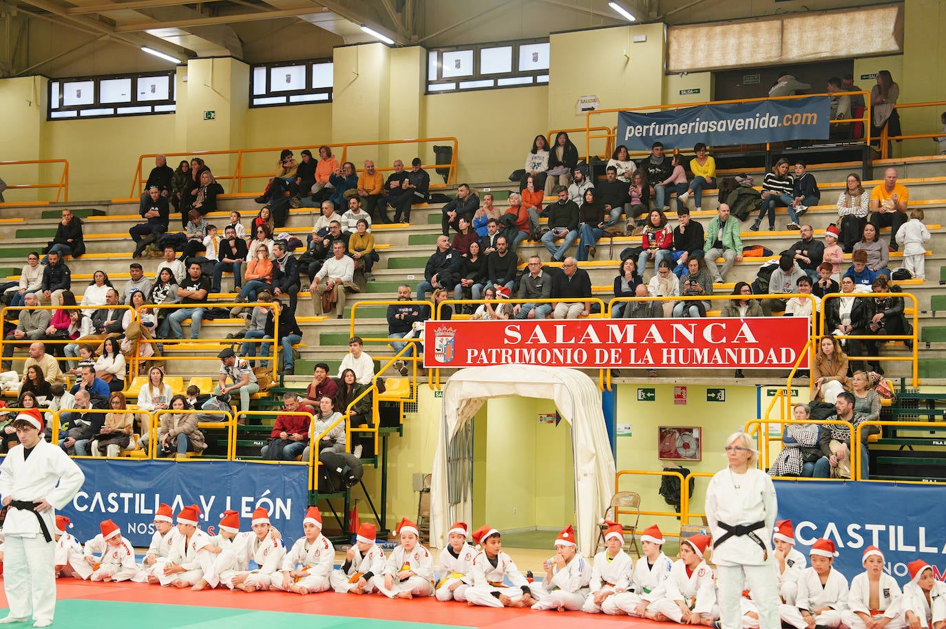 600 jóvenes judokas en el Festival de Navidad