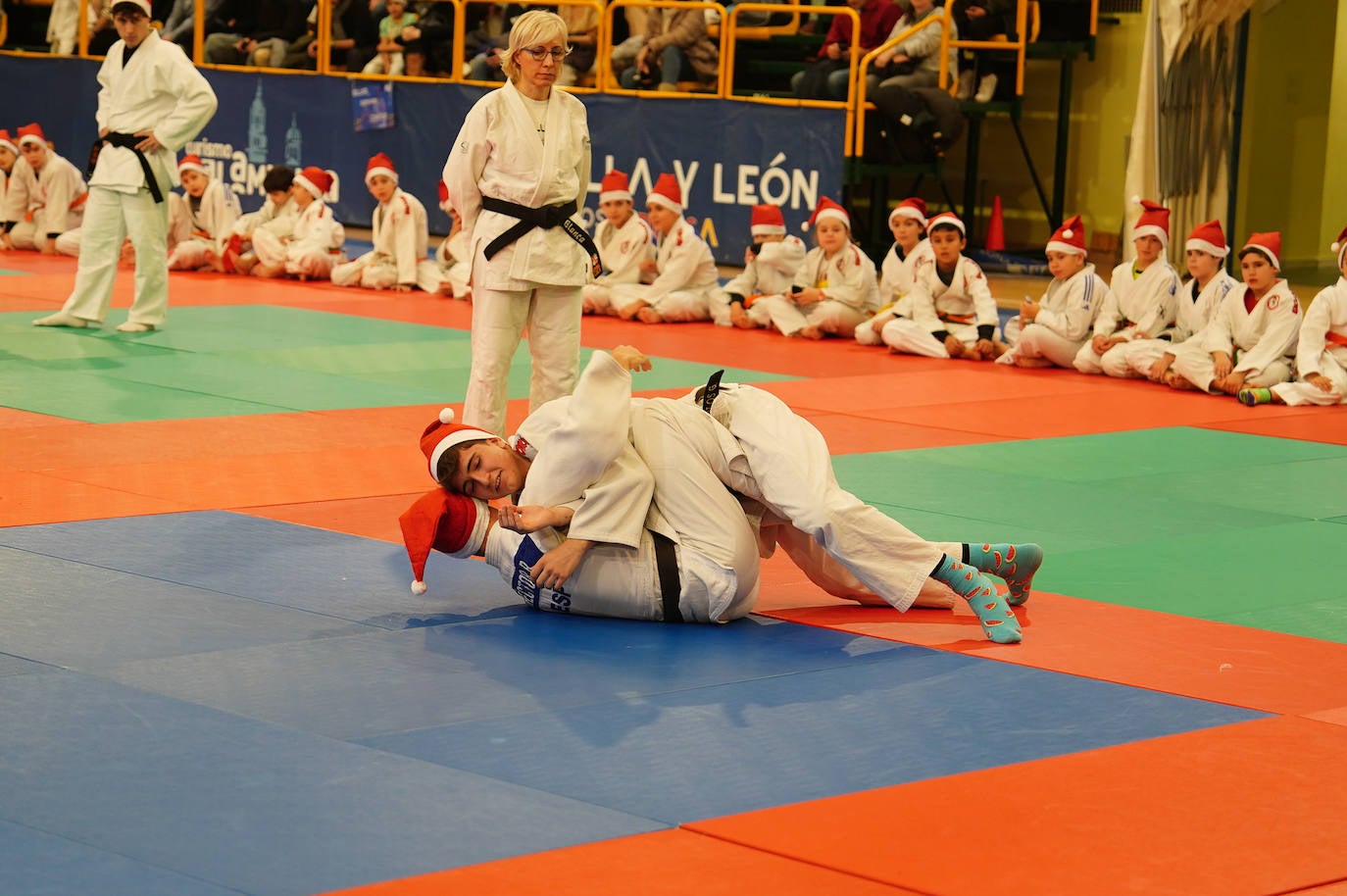 600 jóvenes judokas en el Festival de Navidad