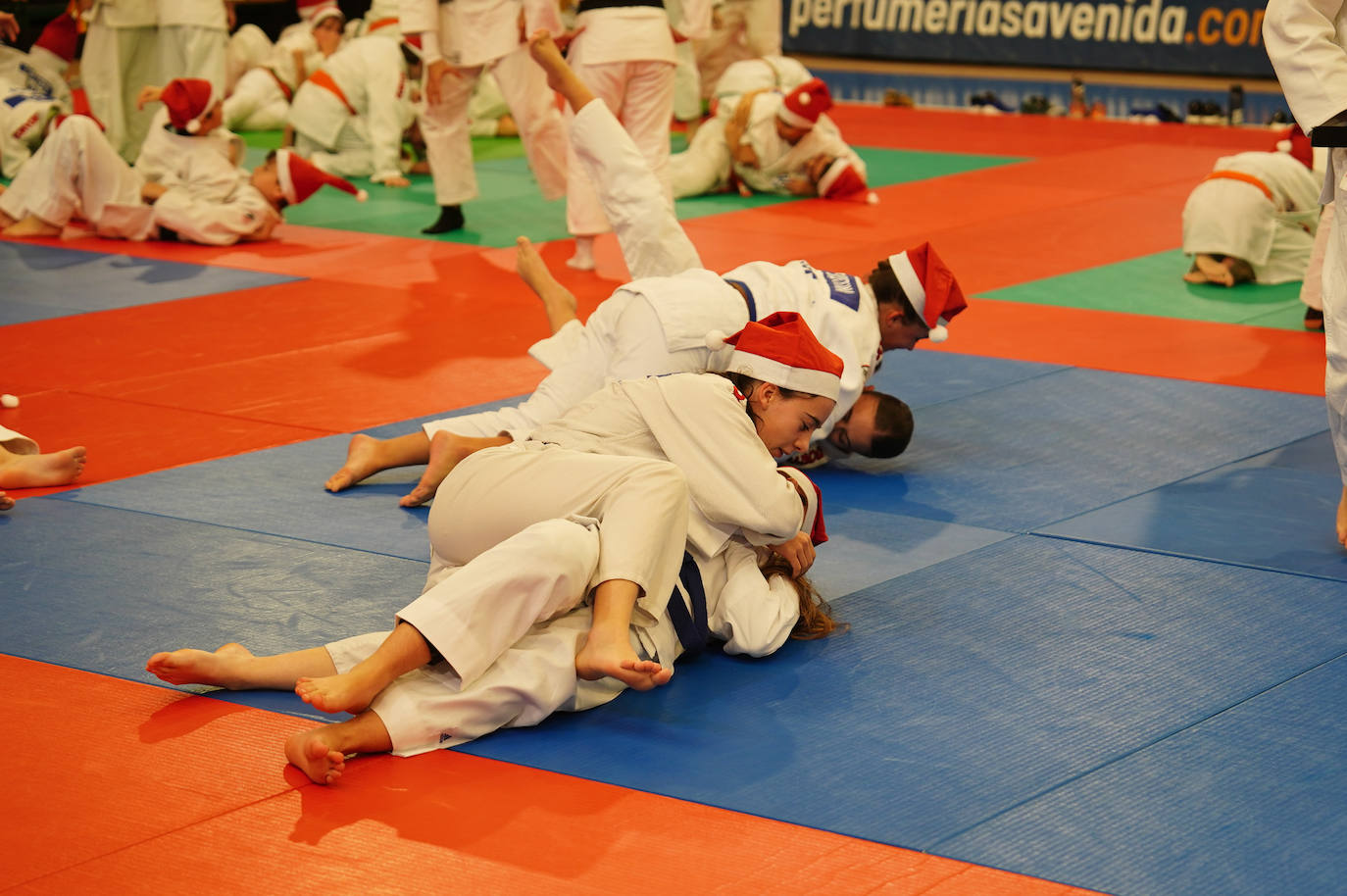 600 jóvenes judokas en el Festival de Navidad