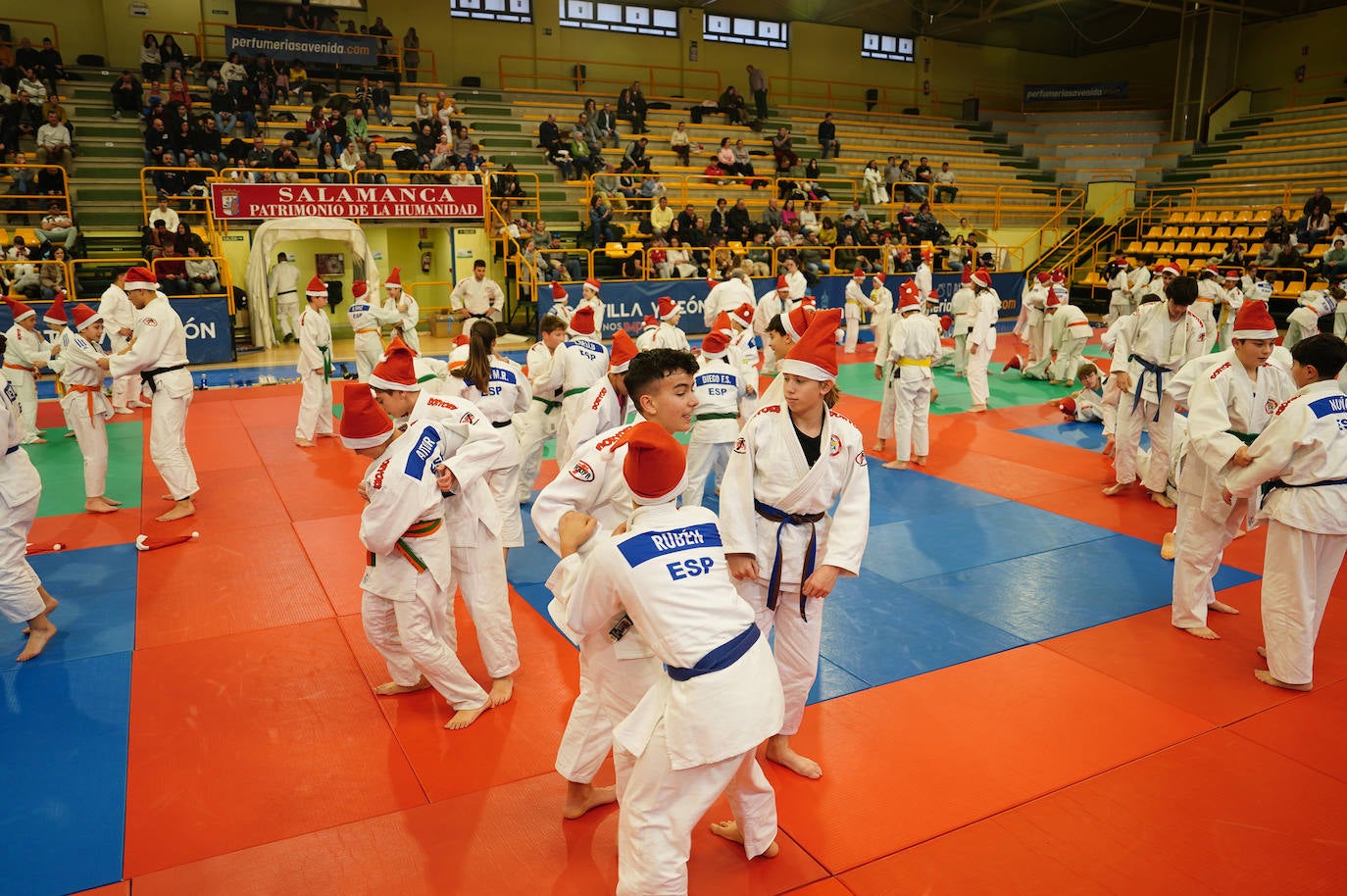 600 jóvenes judokas en el Festival de Navidad