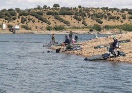 Un grupo de pescadores, en el pantano de Santa Teresa.