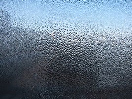 Imagen de un día de invierno.