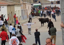 Toro del Voto del año 2024 por las calles de Villoria.