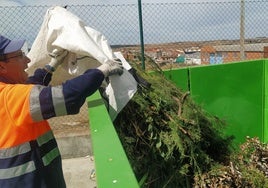 Un operario arrojando residuos vegetales en el punto limpio.