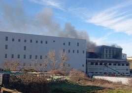 Así ha sido el incendio en una conocida empresa jamonera de Guijuelo