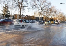 La Avenida de San Agustín tras el revntón