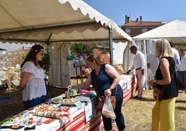 Mercado Medieval en el Castillo de Alba de Tormes.