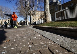 Las aceras de la avenida Reyes de España repletas de deposiciones de los estorninos este martes.