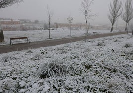 Imagen de una helada en Salamanca.