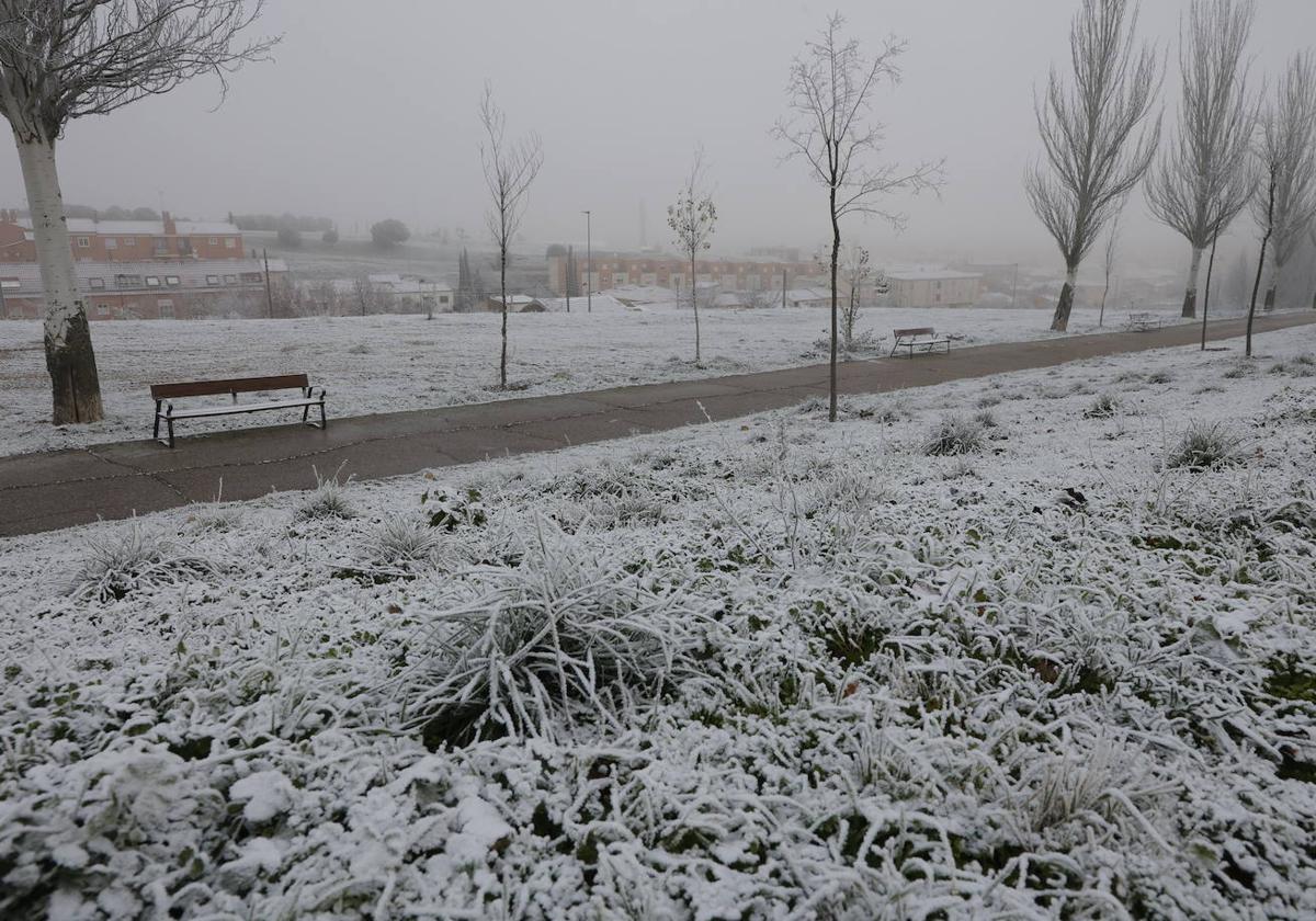 Imagen de una helada en Salamanca.